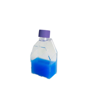 Frasco para Cultivo Celular Com Filtro Tampa Vent
