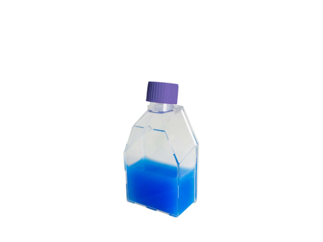 Frasco para Cultivo Celular Com Filtro Tampa Vent