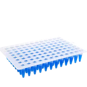 Microplaca QPCR Sem Borda 96 Poços Regular Profile