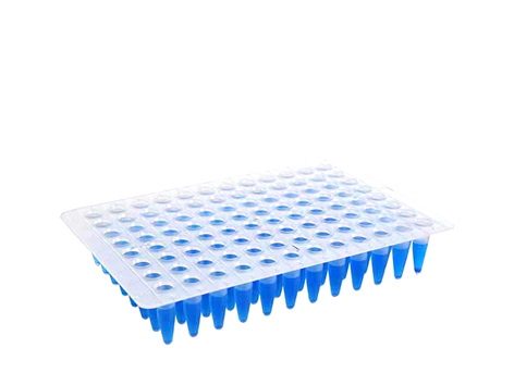 Microplaca QPCR Sem Borda 96 Poços Regular Profile