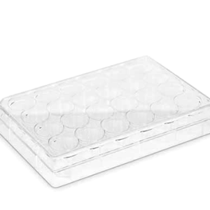 Placa para Cultivo Celular Fundo Chato
