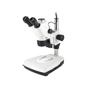 Microscópio Estereoscópio Trinocular com Zoom
